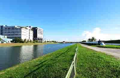 企業(yè)股權(quán)轉(zhuǎn)讓的稅收籌劃