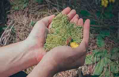 環(huán)境與健康論文