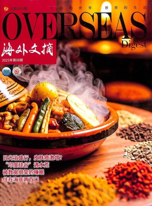 海外文摘