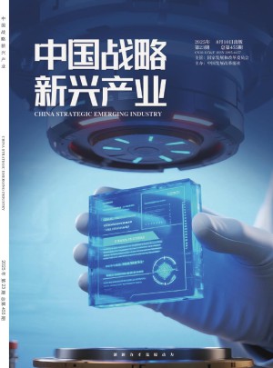 中國戰(zhàn)略新興產(chǎn)業(yè)